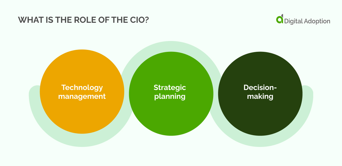 What is the role of the CIO_