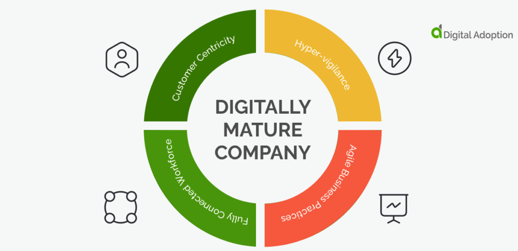 What Are The Qualities Of A Digitally Mature Company