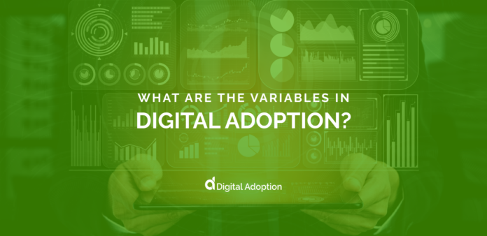 What Are the Variables in Digital Adoption
