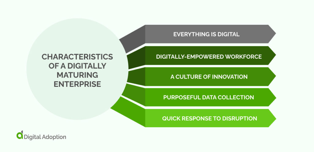 Characteristics of a Digitally Maturing Enterprise