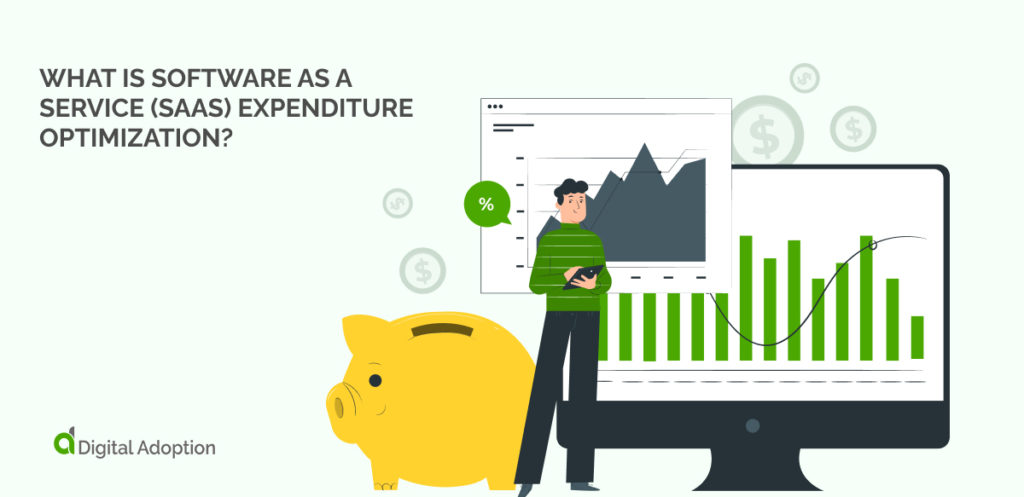 What Is Software as a Service (SaaS) Expenditure Optimization_
