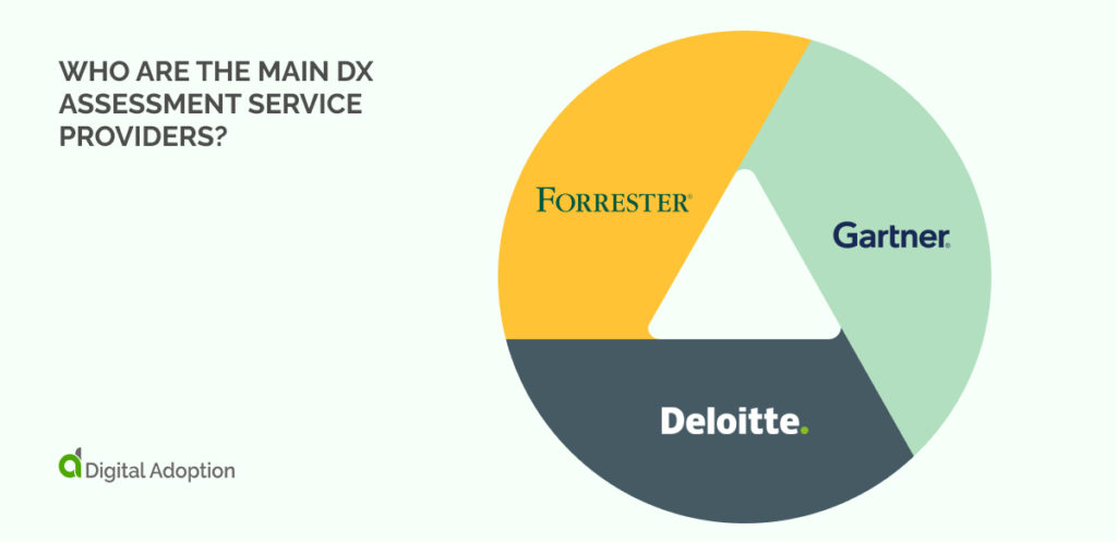 Who Are The Main DX Assessment Service Providers_