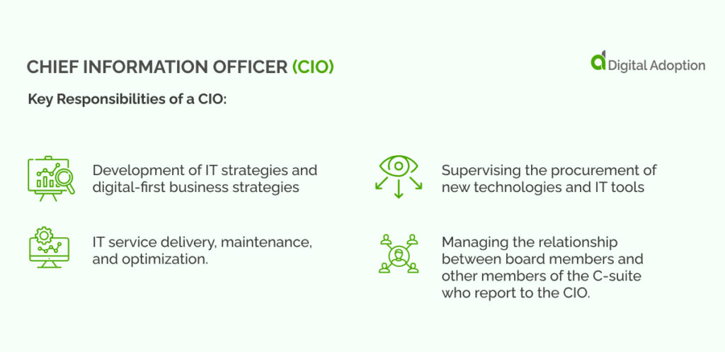 Chief Information Officer (CIO)