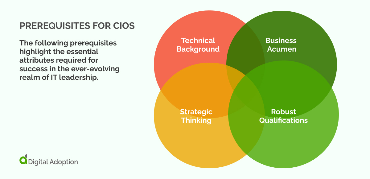 Prerequisites for CIOs