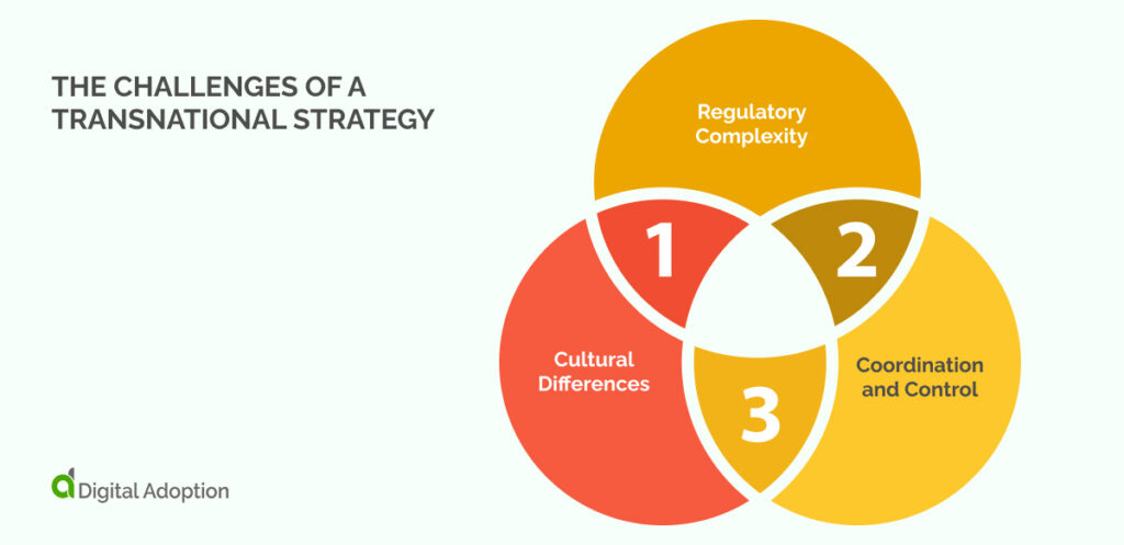 The Challenges of a Transnational Strategy