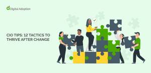 CIO tips: 12 tactics to thrive after change