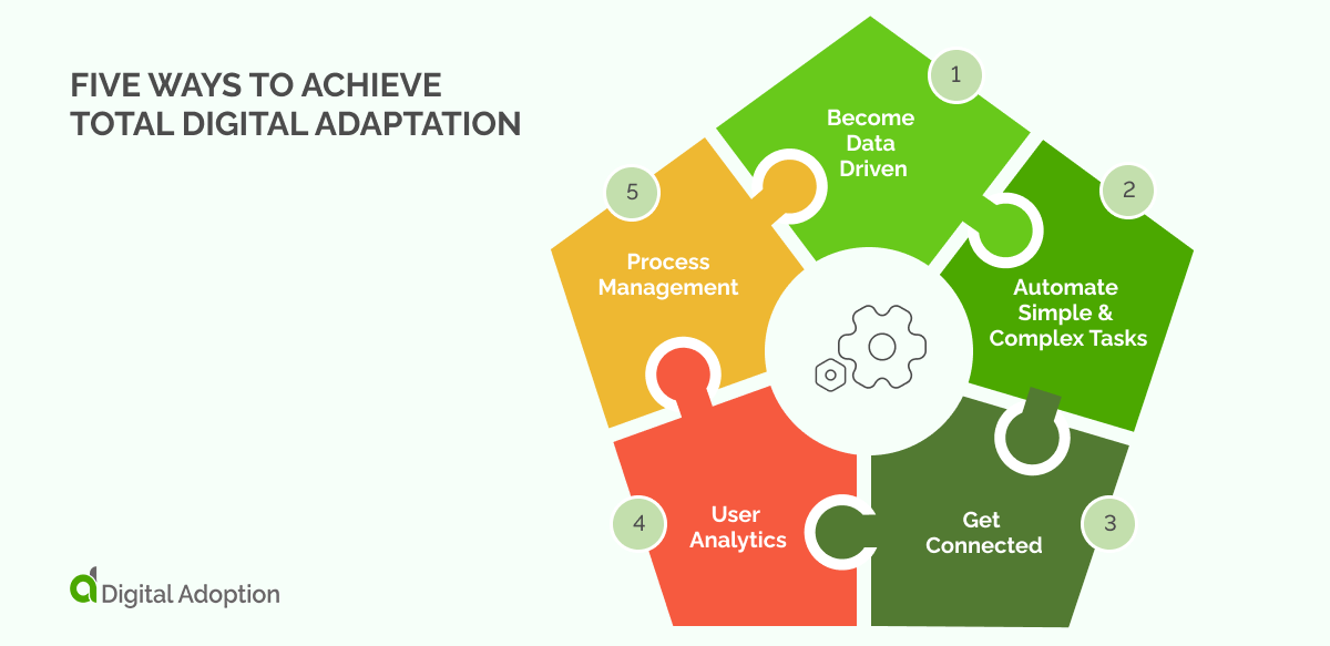 What Is Digital Adaptation