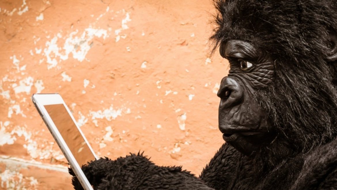 Deep Dive Into The Digital Adoption Category — What’s It All About?