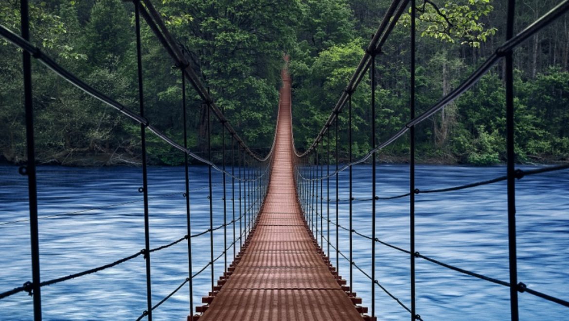 Why True Digital Adoption Is “Like A Bridge Over Troubled Water”