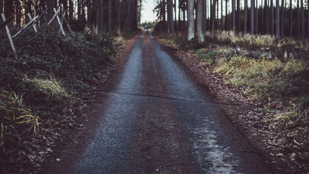 Top Reasons Why Many Strategists Get Wrong About Digital Adoption